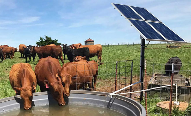 Solar-powered UniFi Protect camera monitoring a remote water point in the WA Goldfields
